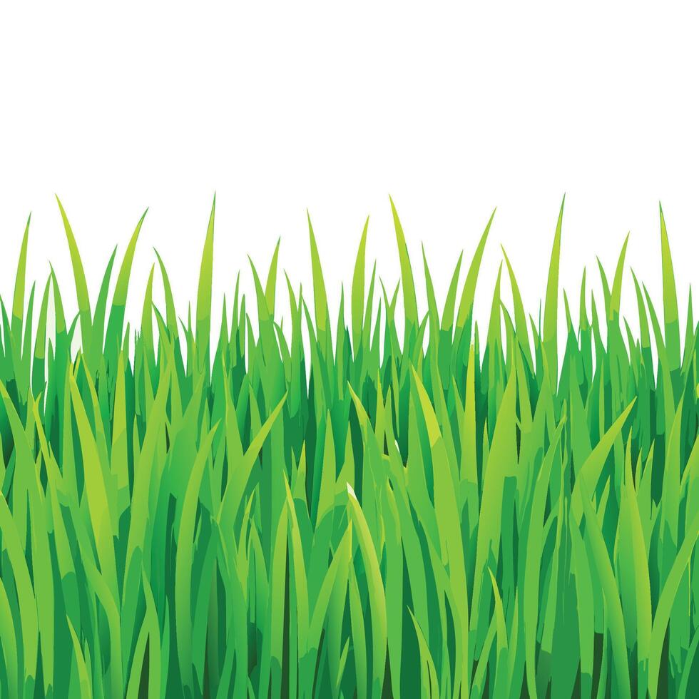 Lush Green Grass Seamless Texture Background vector