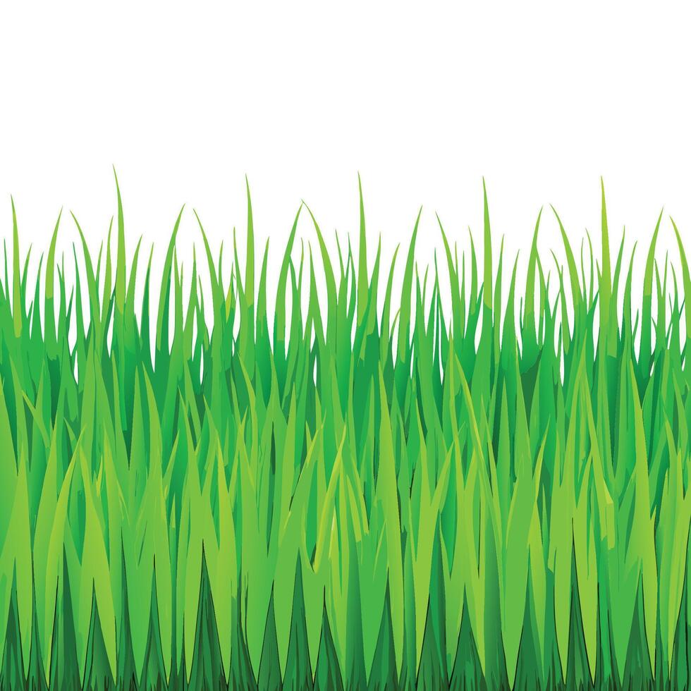 Rich Green Grass Texture for Continuous Backgrounds vector