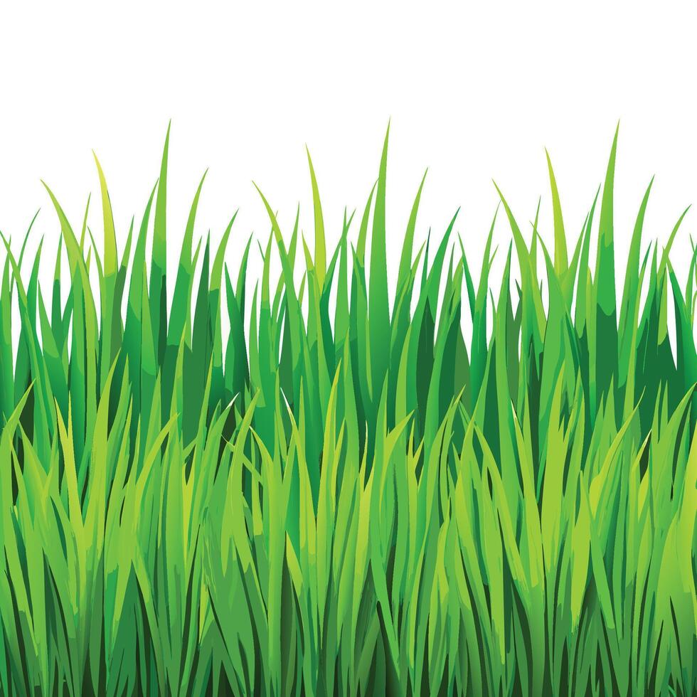Endless Summer Green Grass Texture Background vector