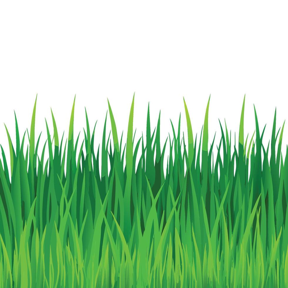 Verdant Green Grass Texture Background vector