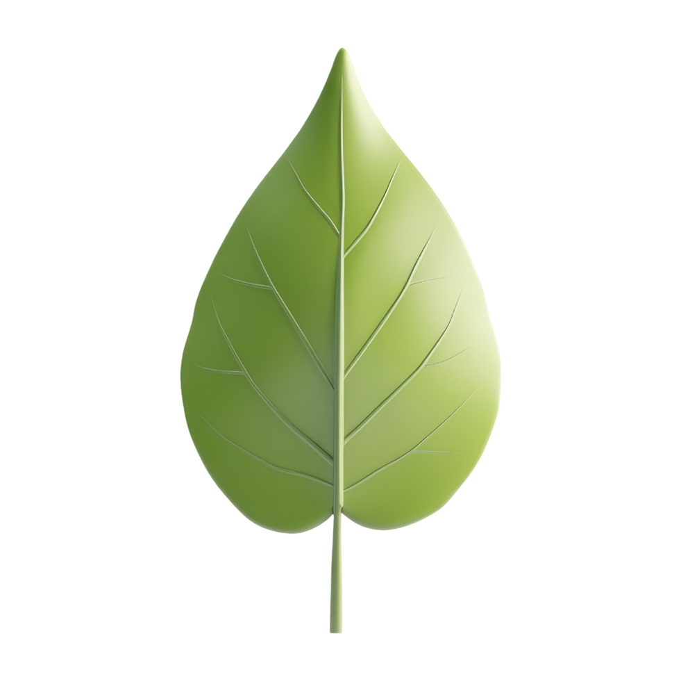 Aesthetic Nature Photography Close Up Green Leaf 54041777 Png Aesthetic Nature Photography Close Up Green Leaf 54041777 Png