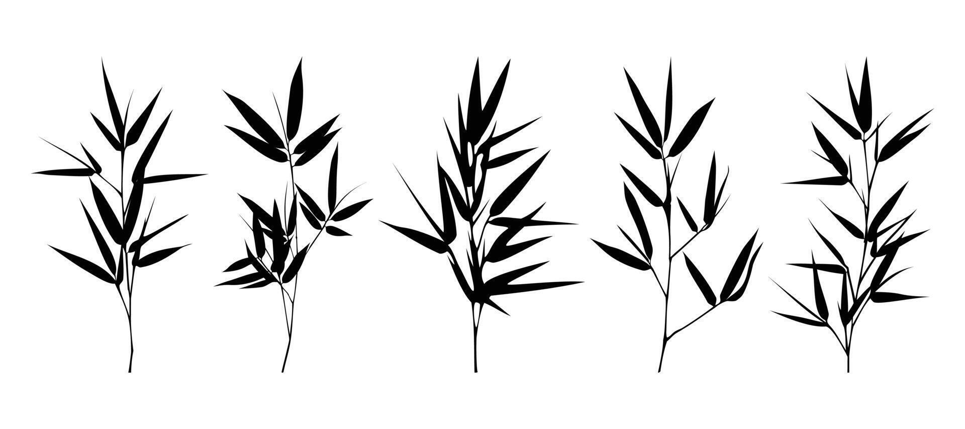 silhouette of bamboo leaves collection vector