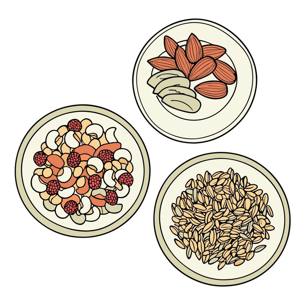 Three bowls of nuts and seeds on a white background vector