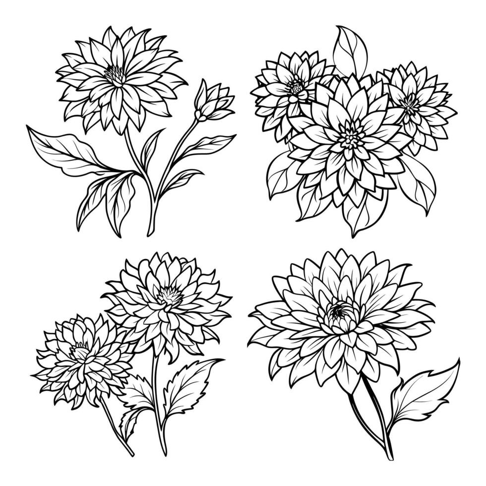 Aster flower outline coloring book page line art drawing illustration for children and adults vector