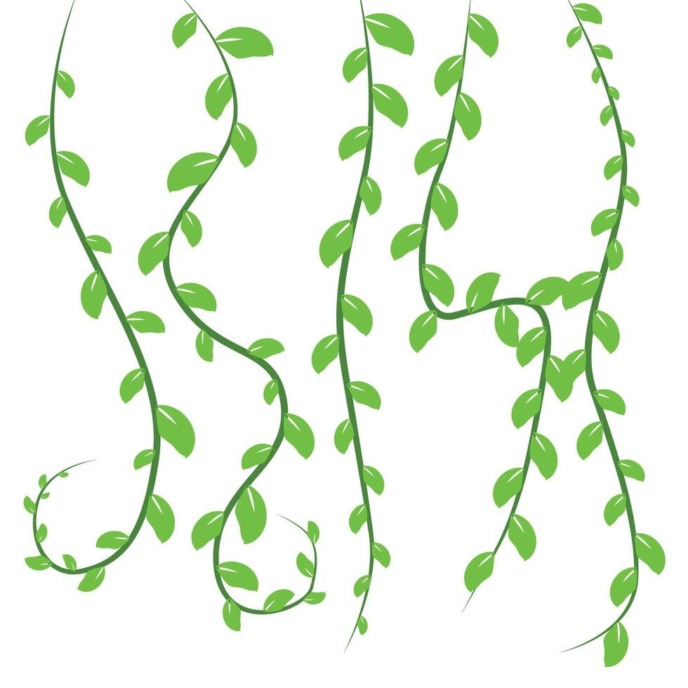 Vines Graphic Illustration vector
