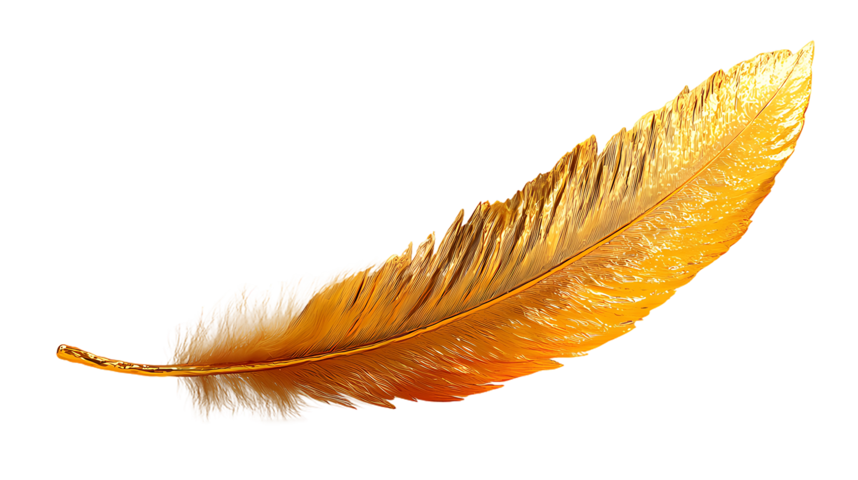 gold feather on transparent background png