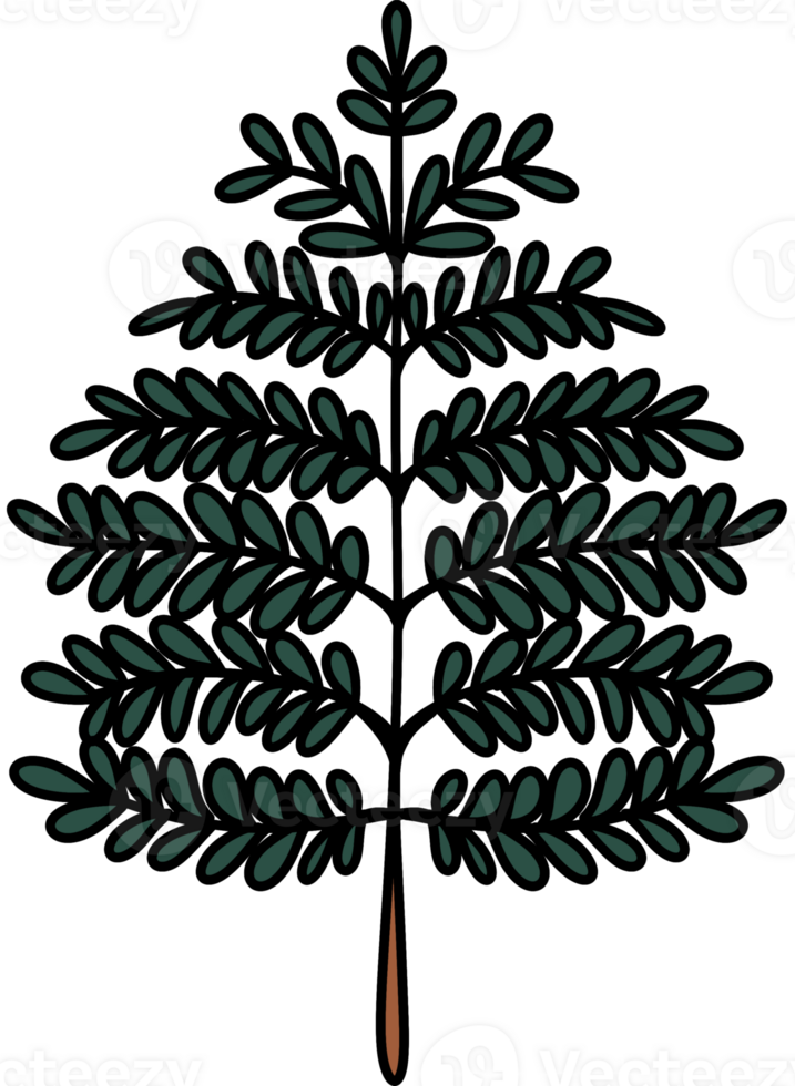 cute color full Christmas tree png