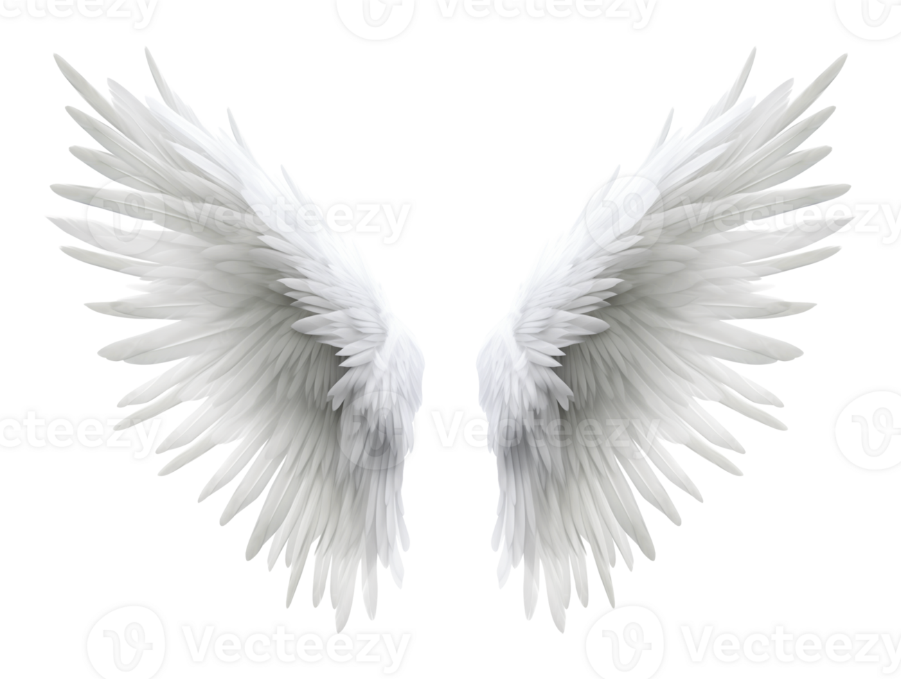 Wings of Angel Isolated on Transparent Background png