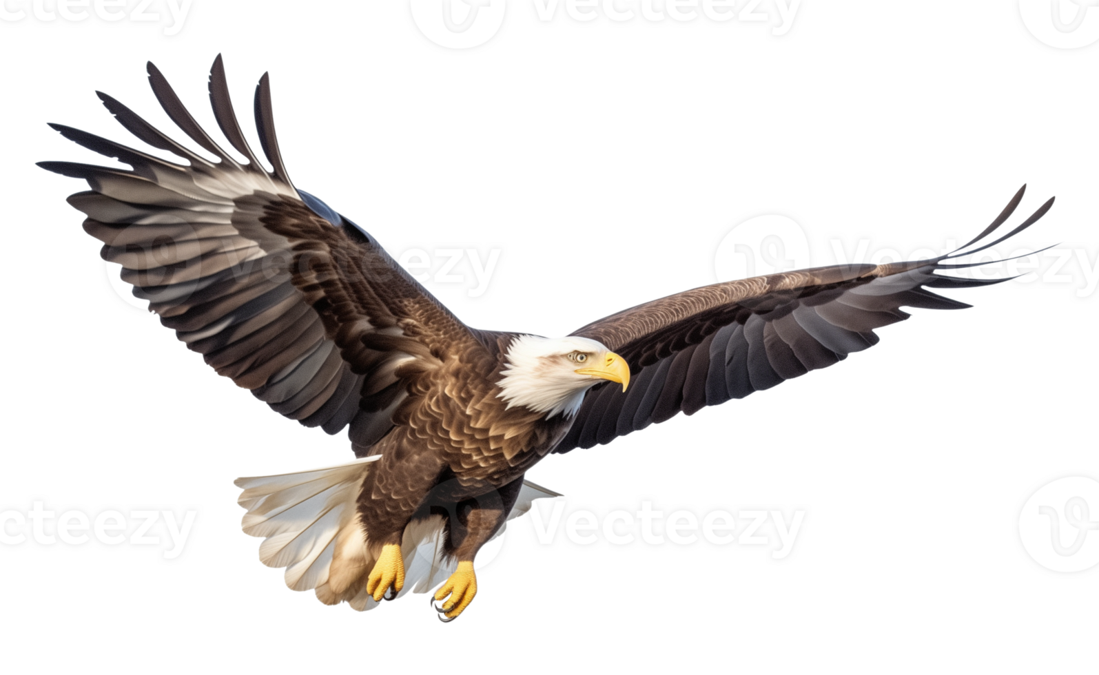 American Bald Eagle Flying Side View Isolated on Transparent Background png