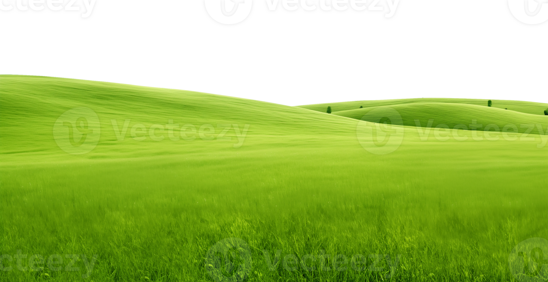 Grassland Plain Landscape Isolated on Transparent Background png