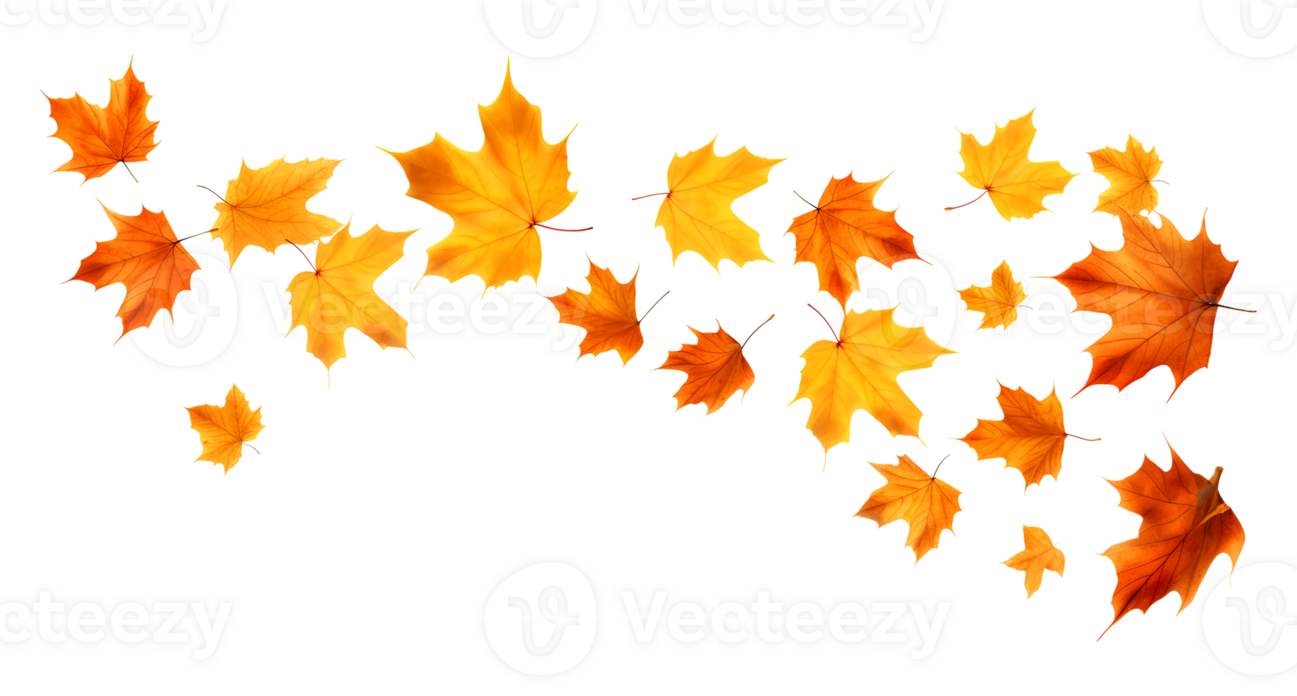 Autumn Leaves Flying Wind Isolated on Transparent Background png