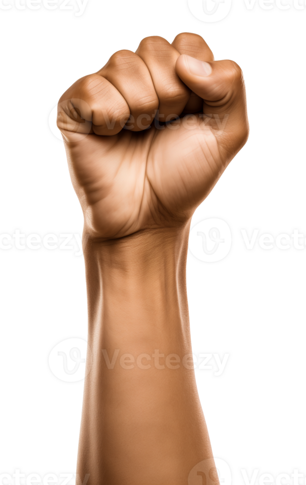Raised Fist Up Isolated on Transparent Background png