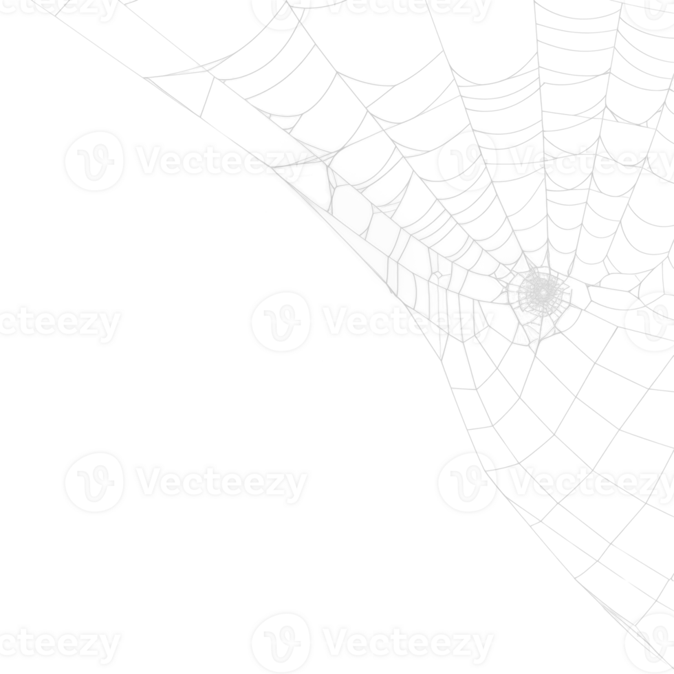Spider Web Corner Isolated on Transparent Background png