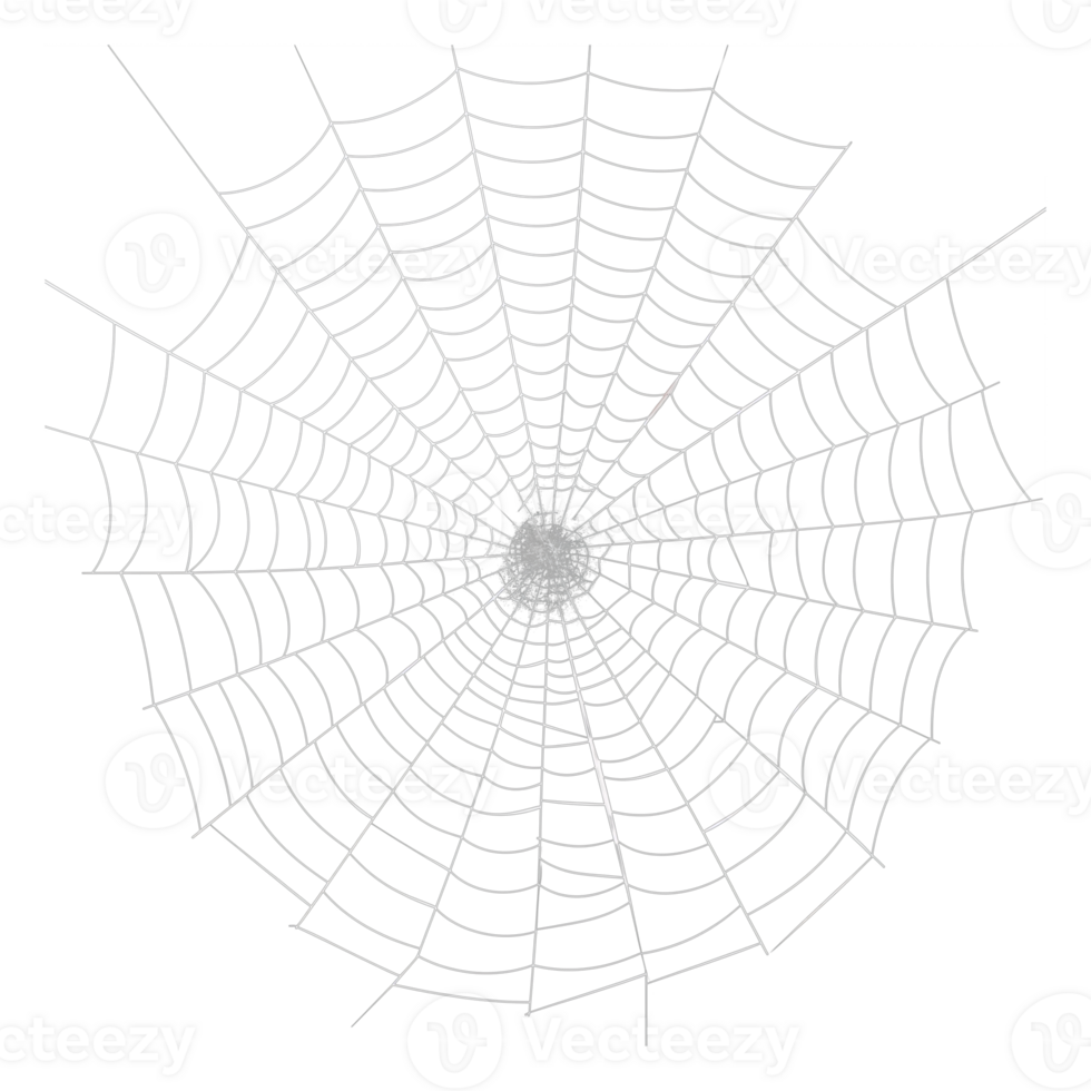Spider Web Isolated on Transparent Background png