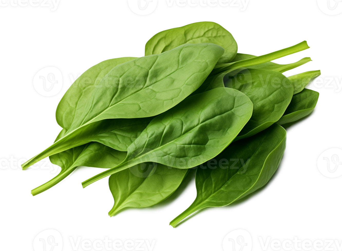 Spinach Isolated on Transparent Background png