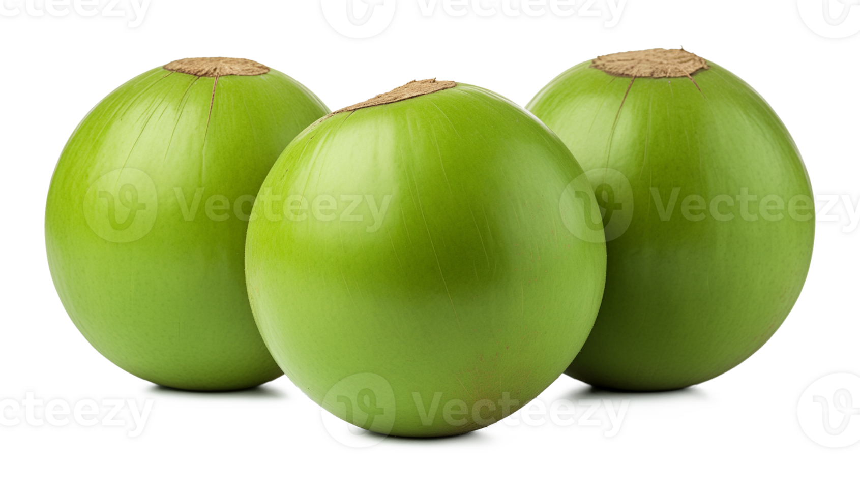 Green Coconut Isolated on Transparent Background png