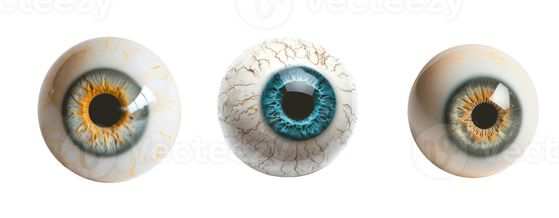Three realistic human eyes with different colors and details on transparent background png