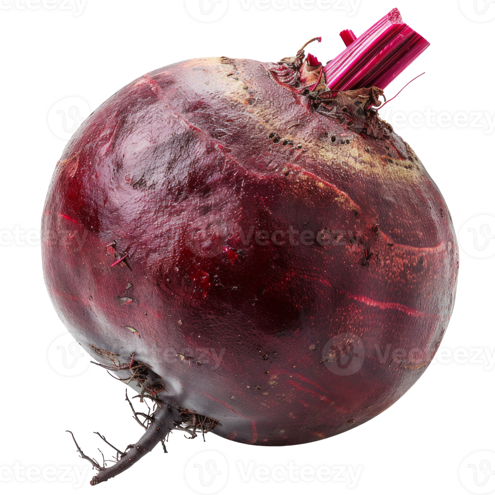 Fresh red beet isolated on transparent background for culinary use png