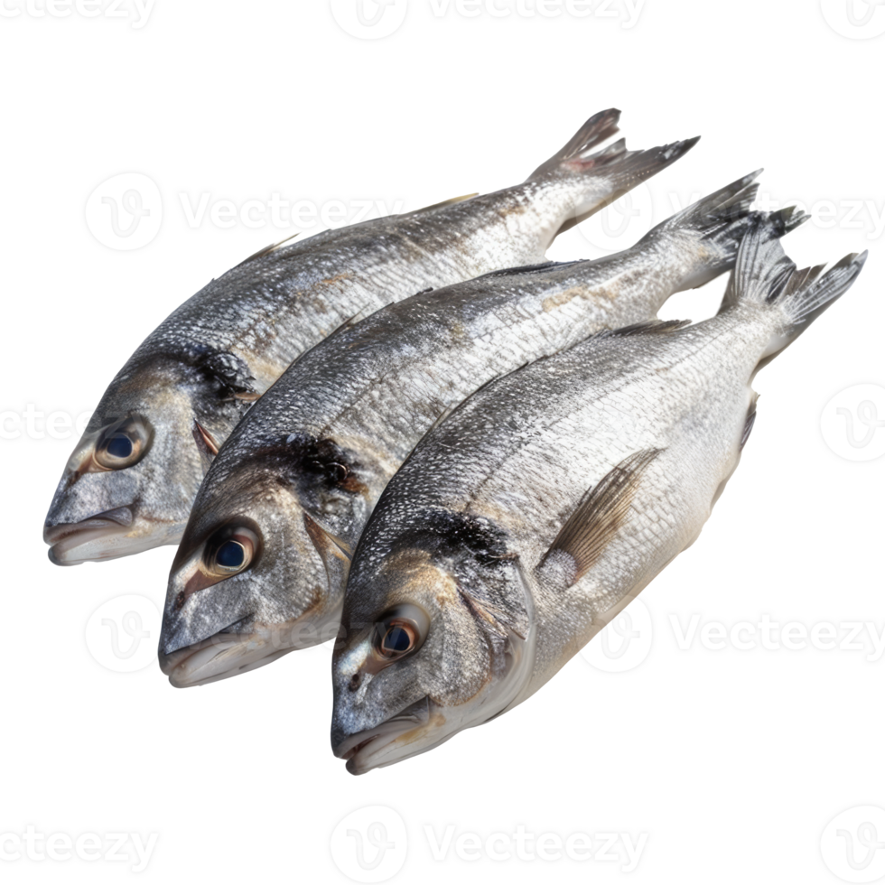 Three fresh fish displayed on a transparent background for culinary use png