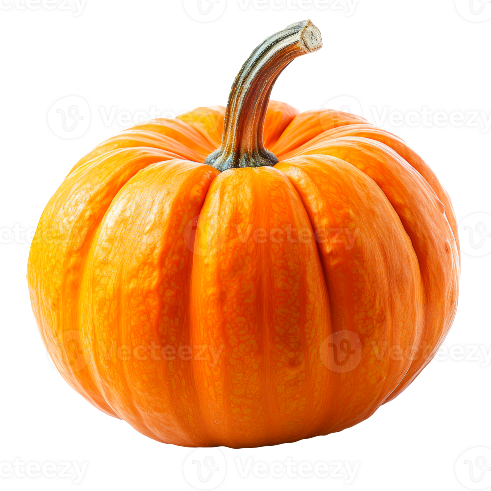 A vibrant orange pumpkin isolated on a transparent background. png