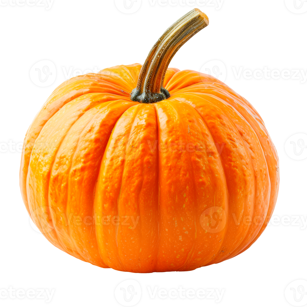 Vibrant orange pumpkin isolated on a transparent background perfect for autumn themes. png