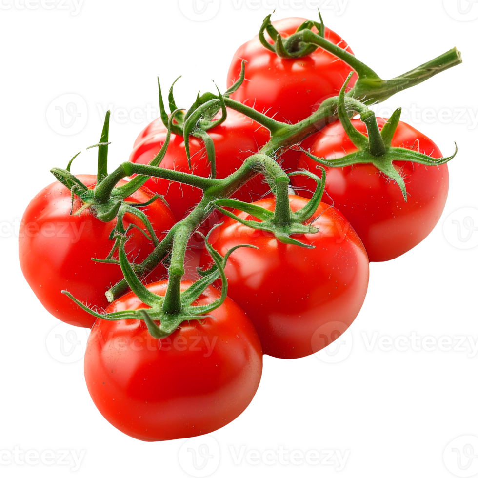 Fresh red tomatoes on the vine with green leaves and stems png