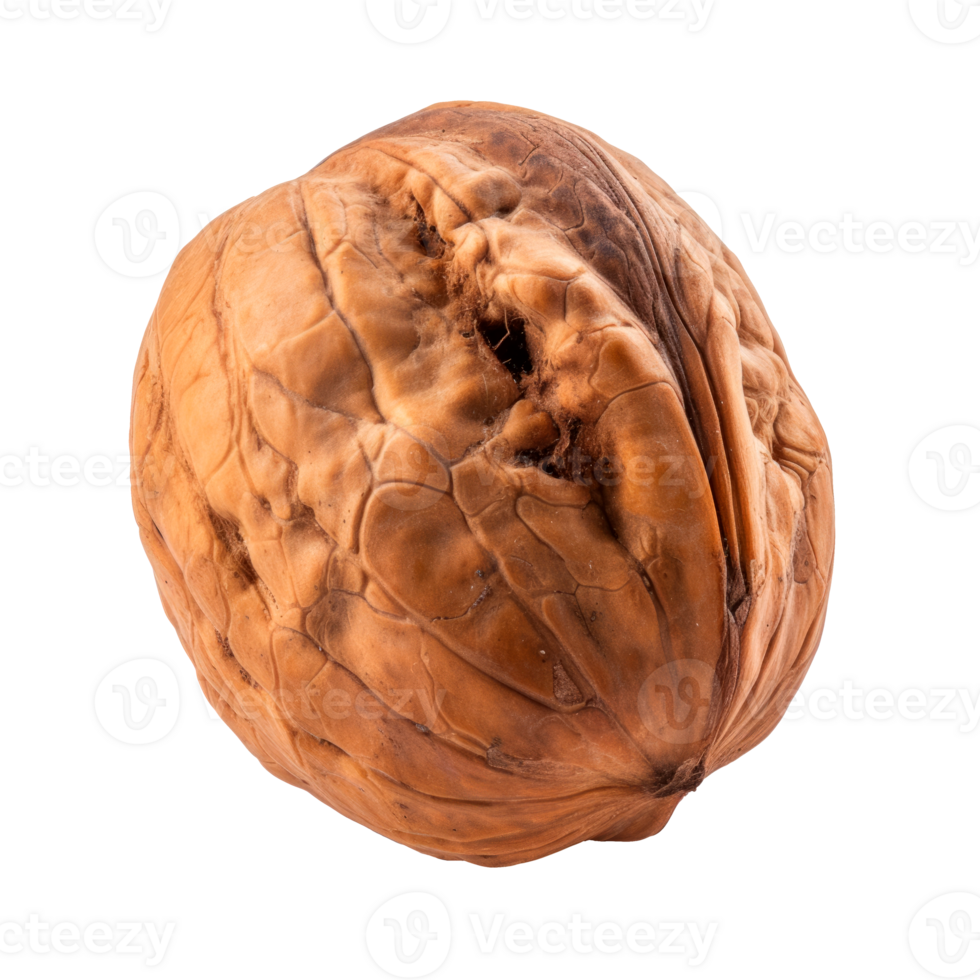 A whole walnut with a cracked shell isolated on a transparent background png