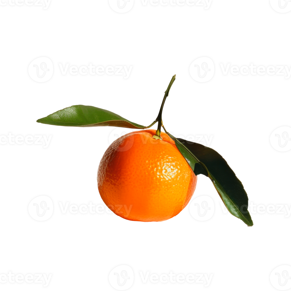 Fresh orange with vibrant color and green leaves on transparent background png