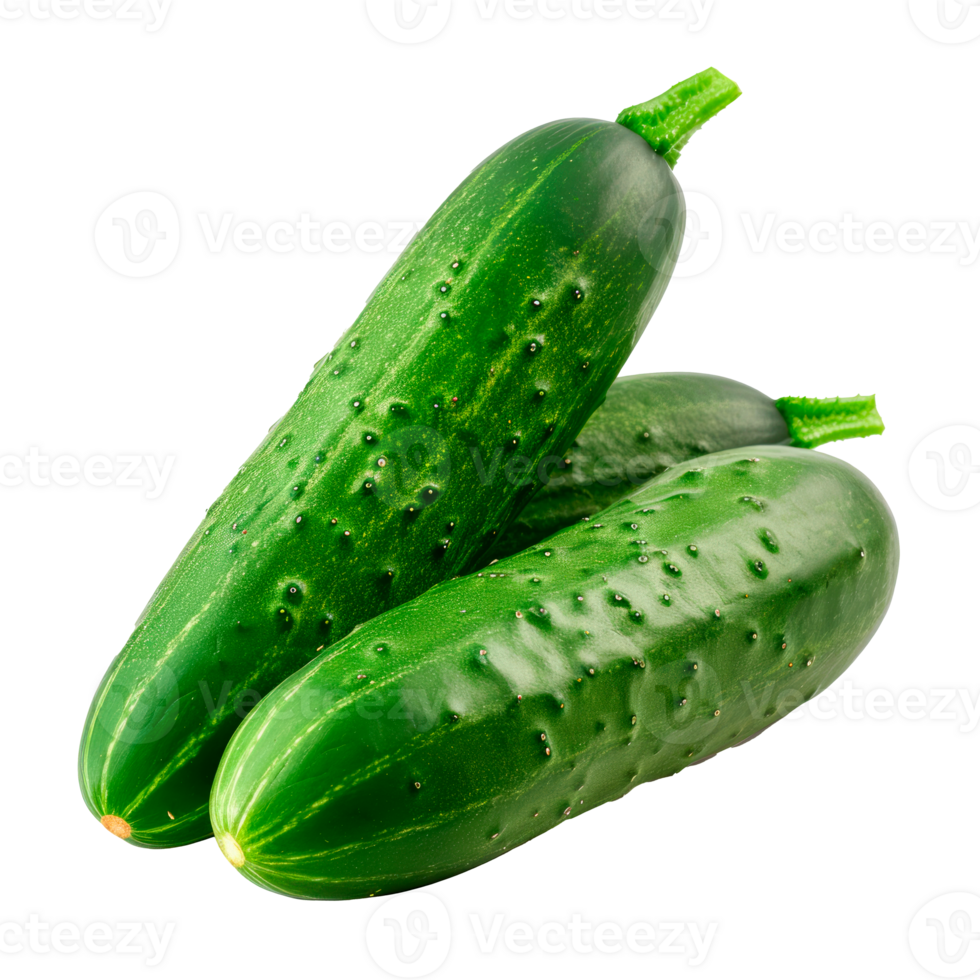 Two fresh green cucumbers isolated on a transparent background png