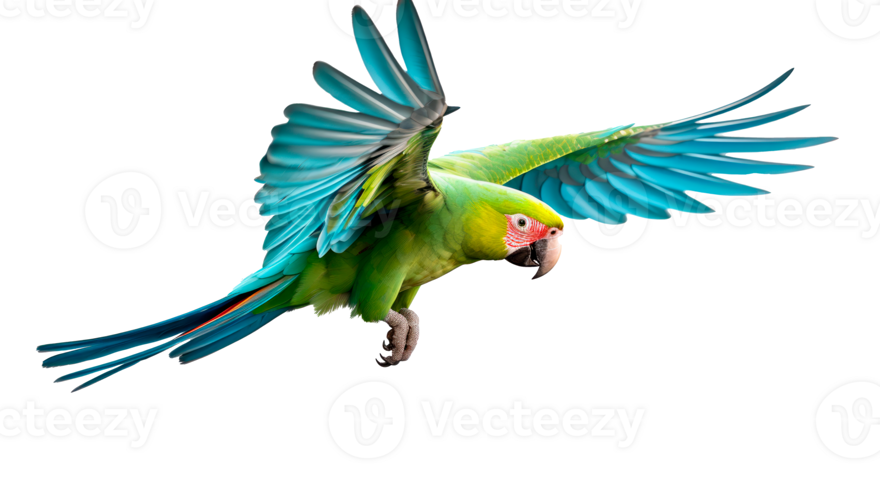 Colorful parrot in flight showcasing vibrant green and blue feathers png