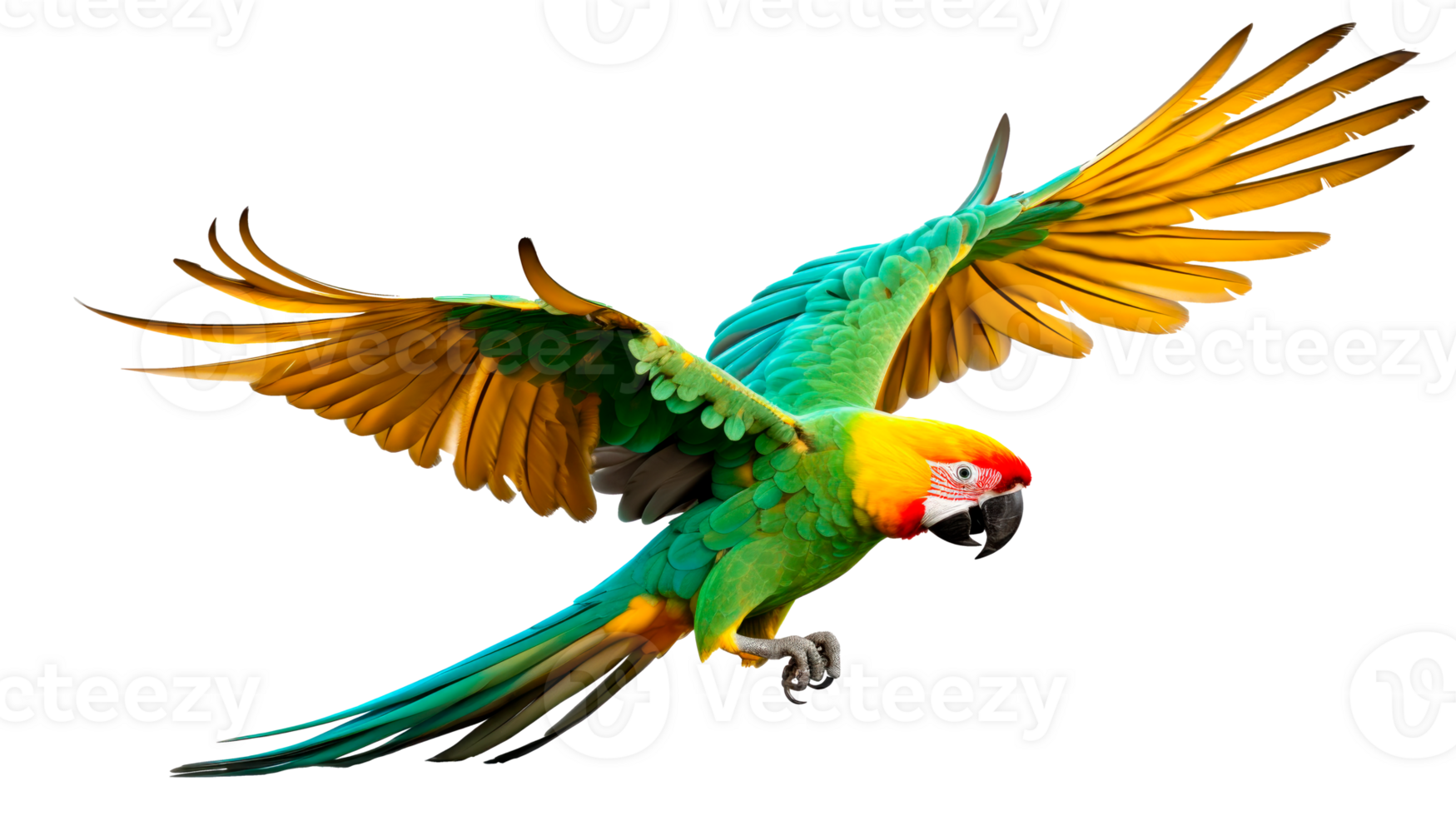 Colorful macaw parrot flying with vibrant feathers in a tropical setting png