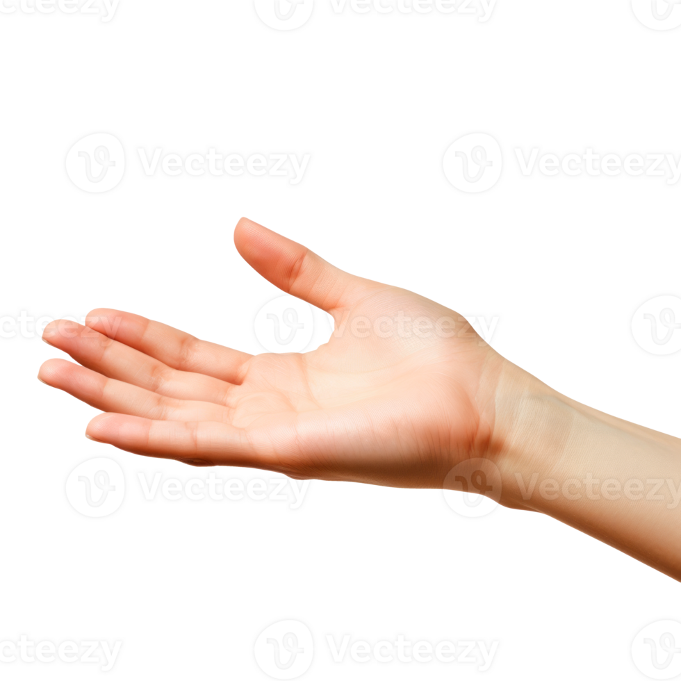A right hand open in a gesture, showcasing fingers and palm. png