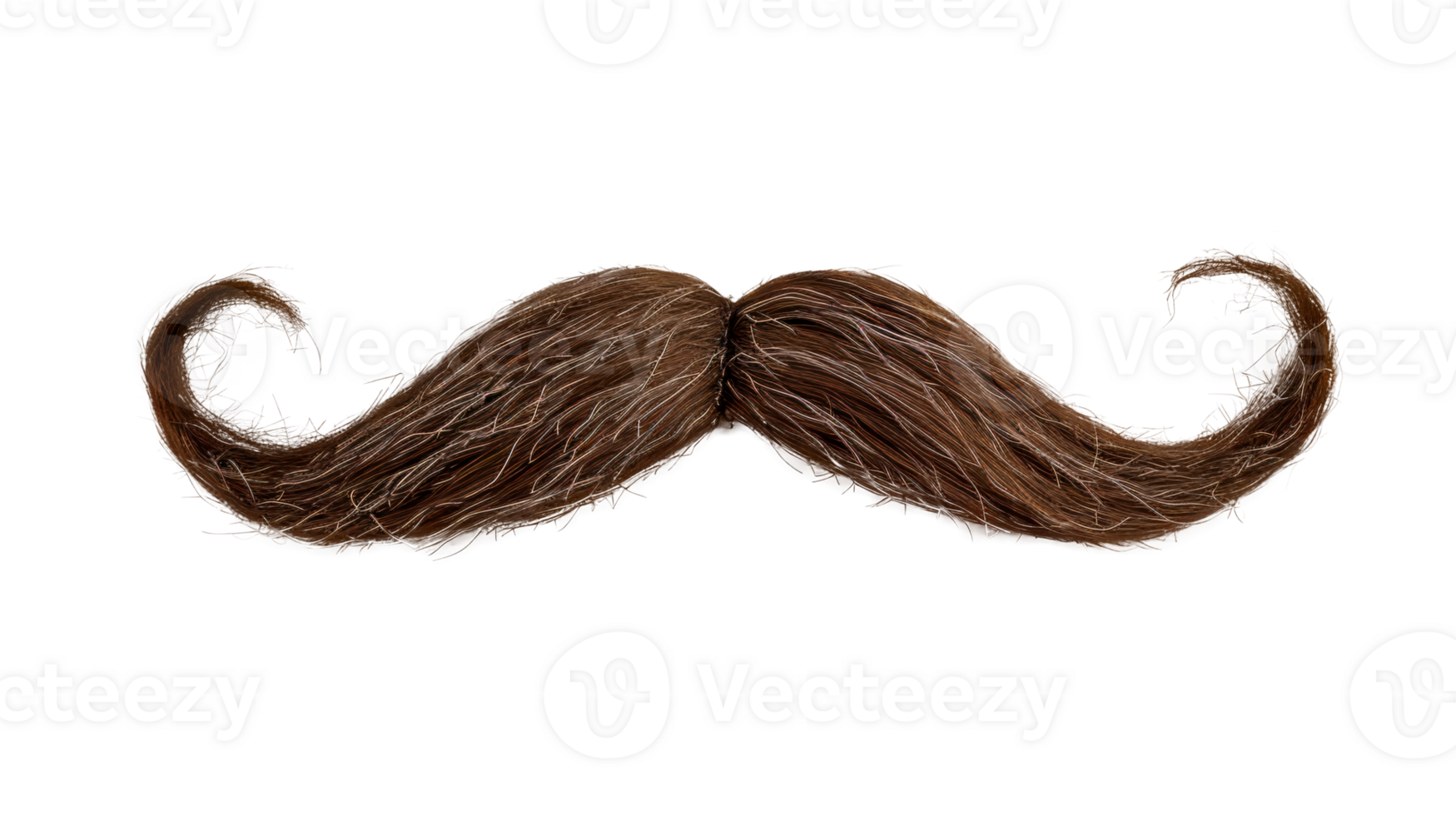 A stylish brown mustache with a curly design isolated on a transparent background. png