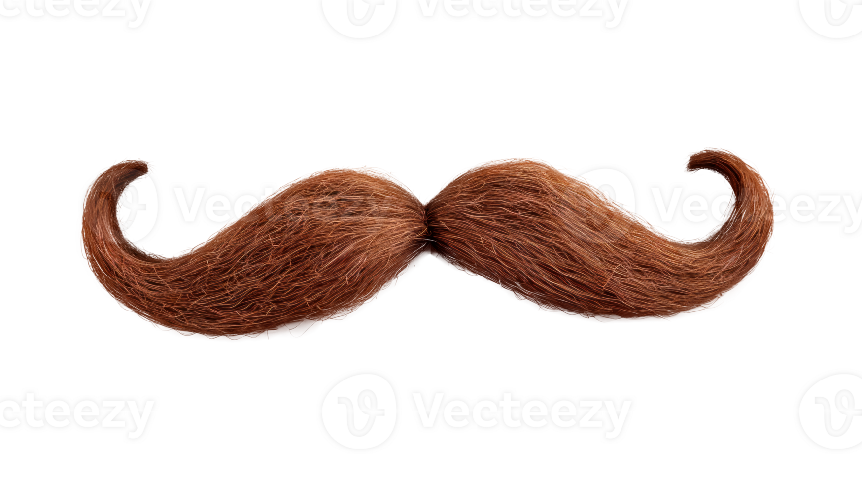 A stylish brown mustache isolated on a transparent background png