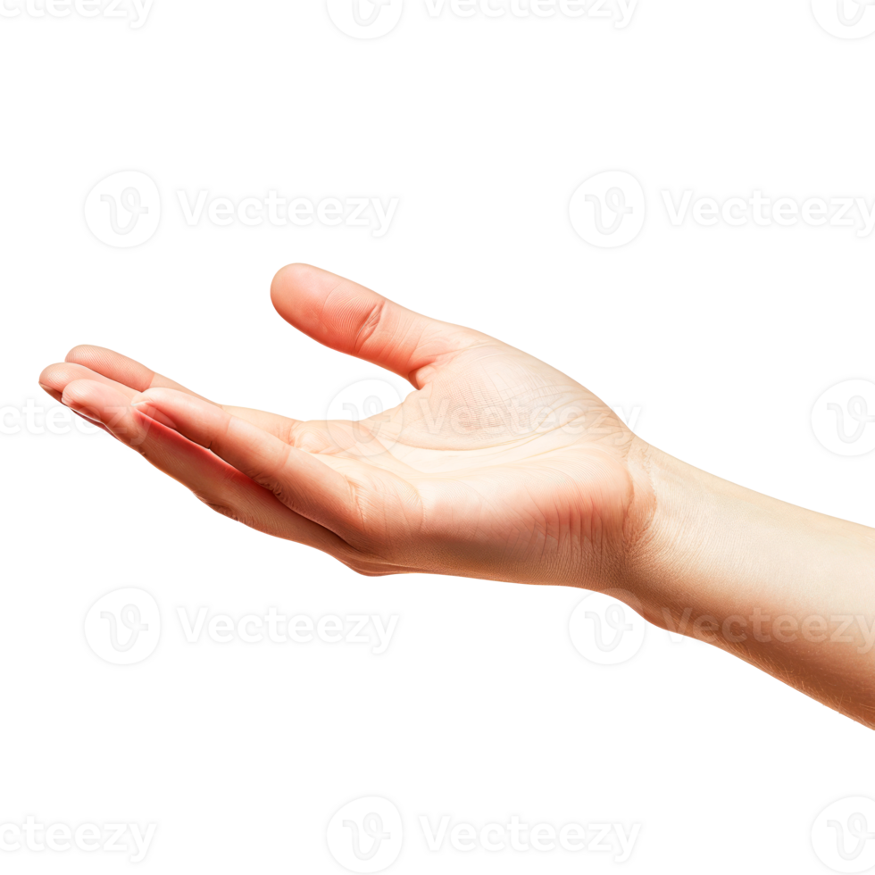 A human hand open and ready for communication or support png