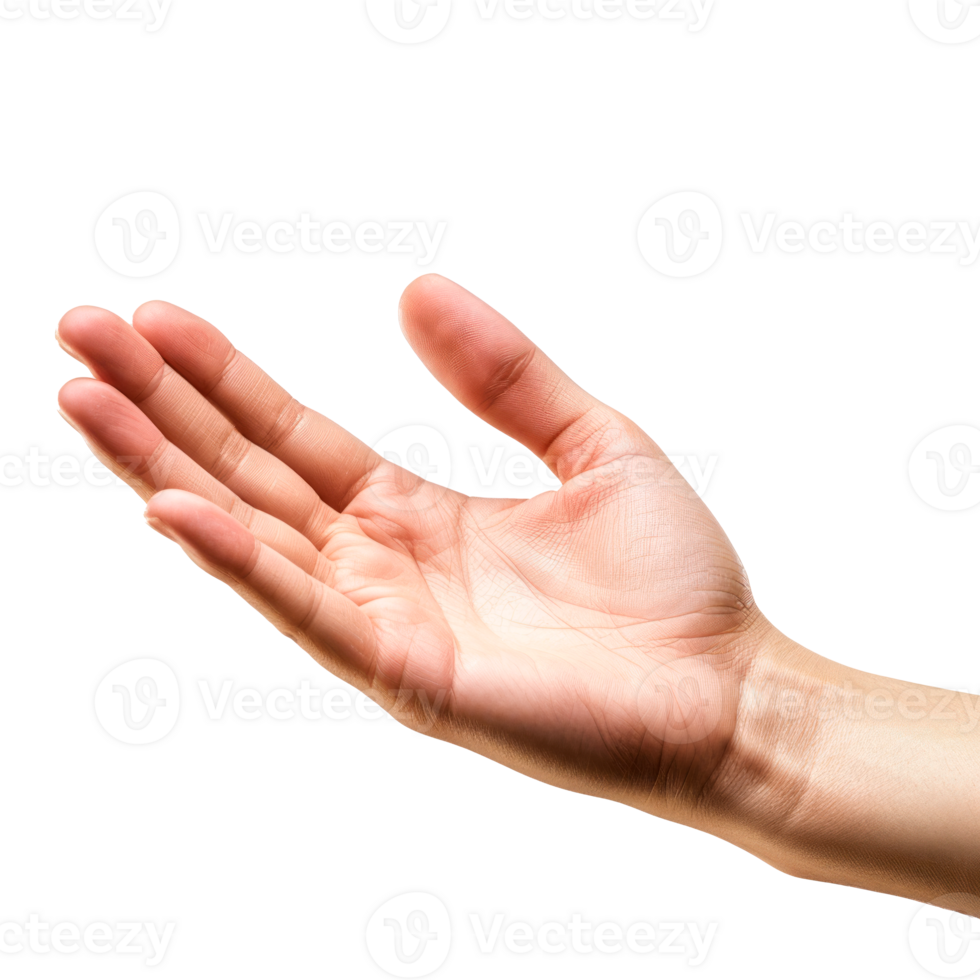 Open hand gesture symbolizing help and communication on transparent background png