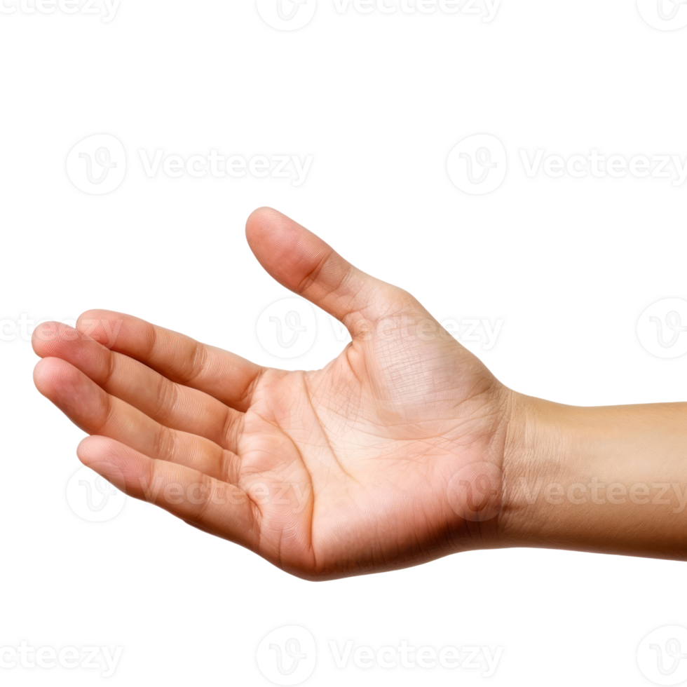 Open hand gesture on a transparent background for various uses png