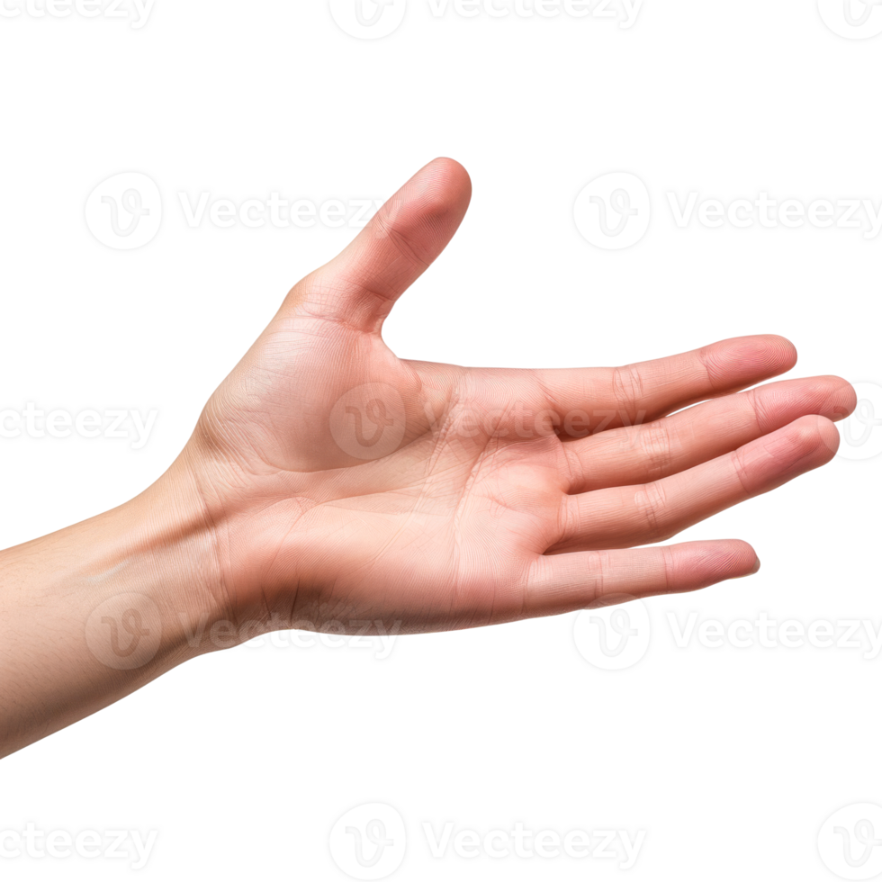 Open hand gesture reaching out for support or invitation png
