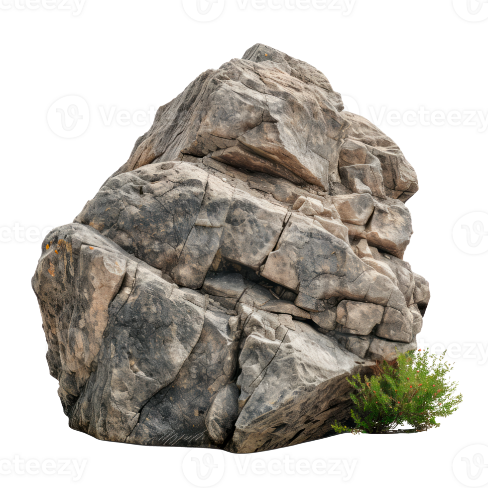 Large boulder rock with rough texture and surrounding greenery png