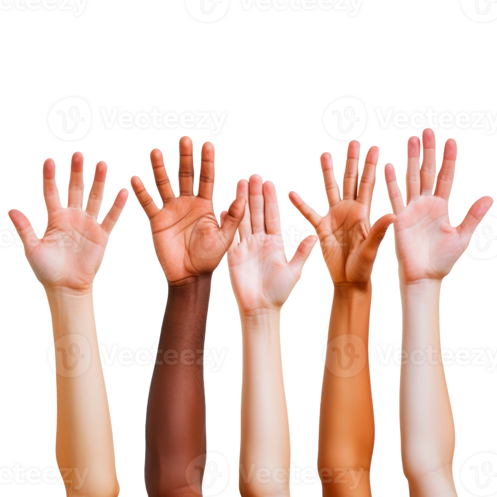 A diverse group of hands raised together symbolizing unity and collaboration png