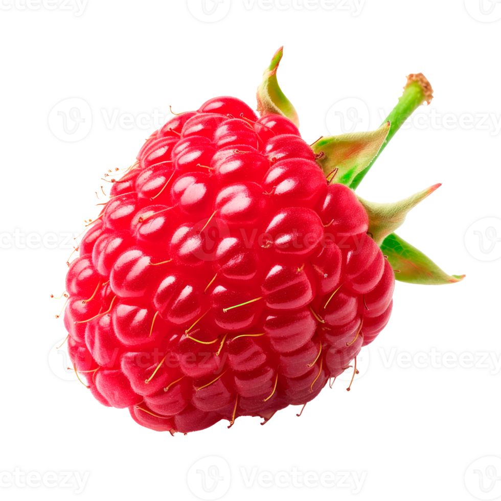 Fresh red raspberry isolated on a transparent background for culinary use png