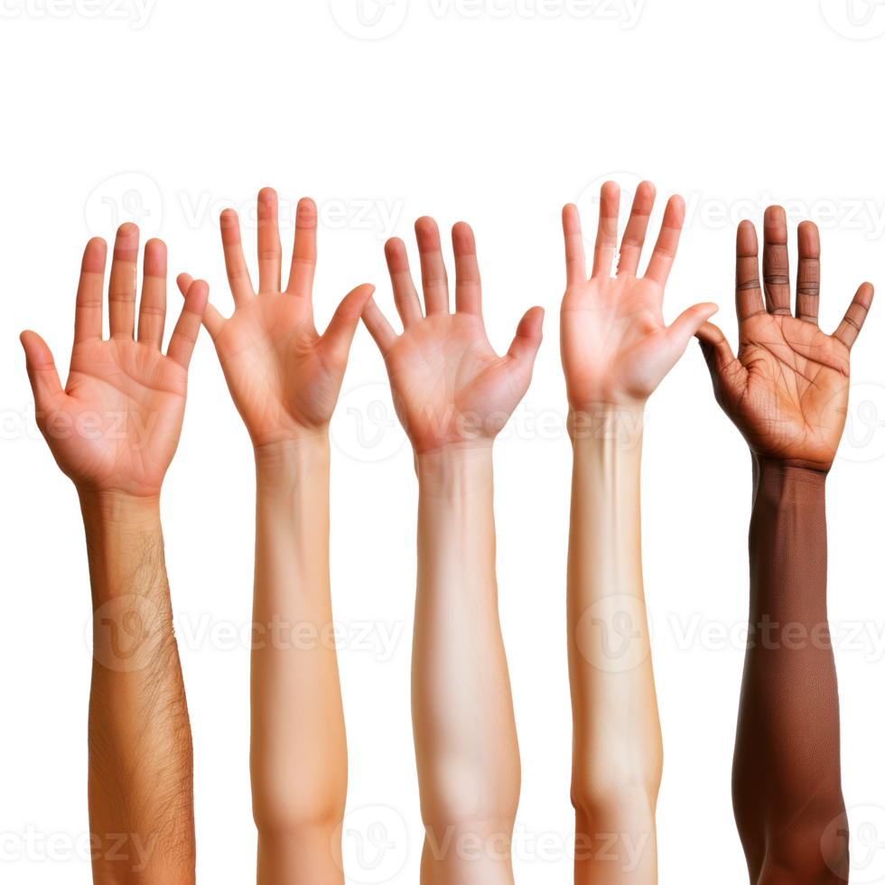 Diverse hands reaching up in a gesture of unity and support png