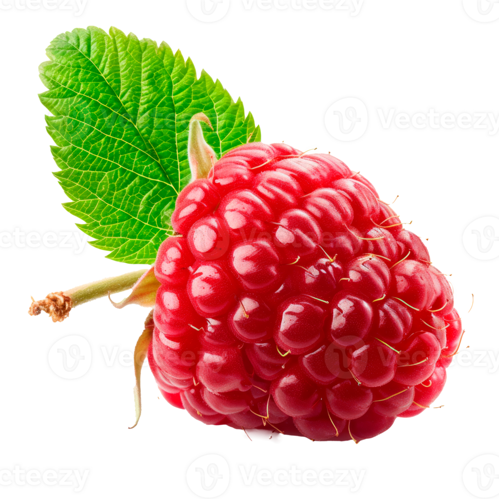 Fresh ripe raspberry with green leaf isolated on transparent background png