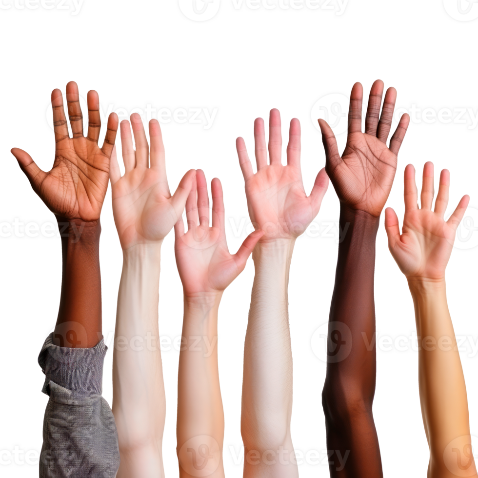 A diverse group of hands representing unity and support in community. png