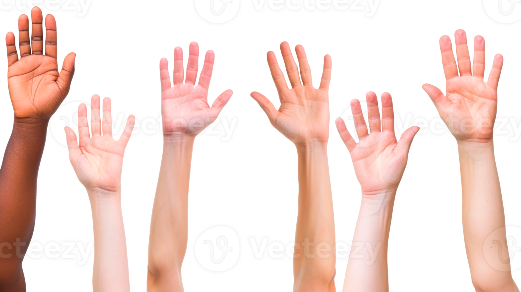 Diverse hands raised in a gesture of unity and support. png