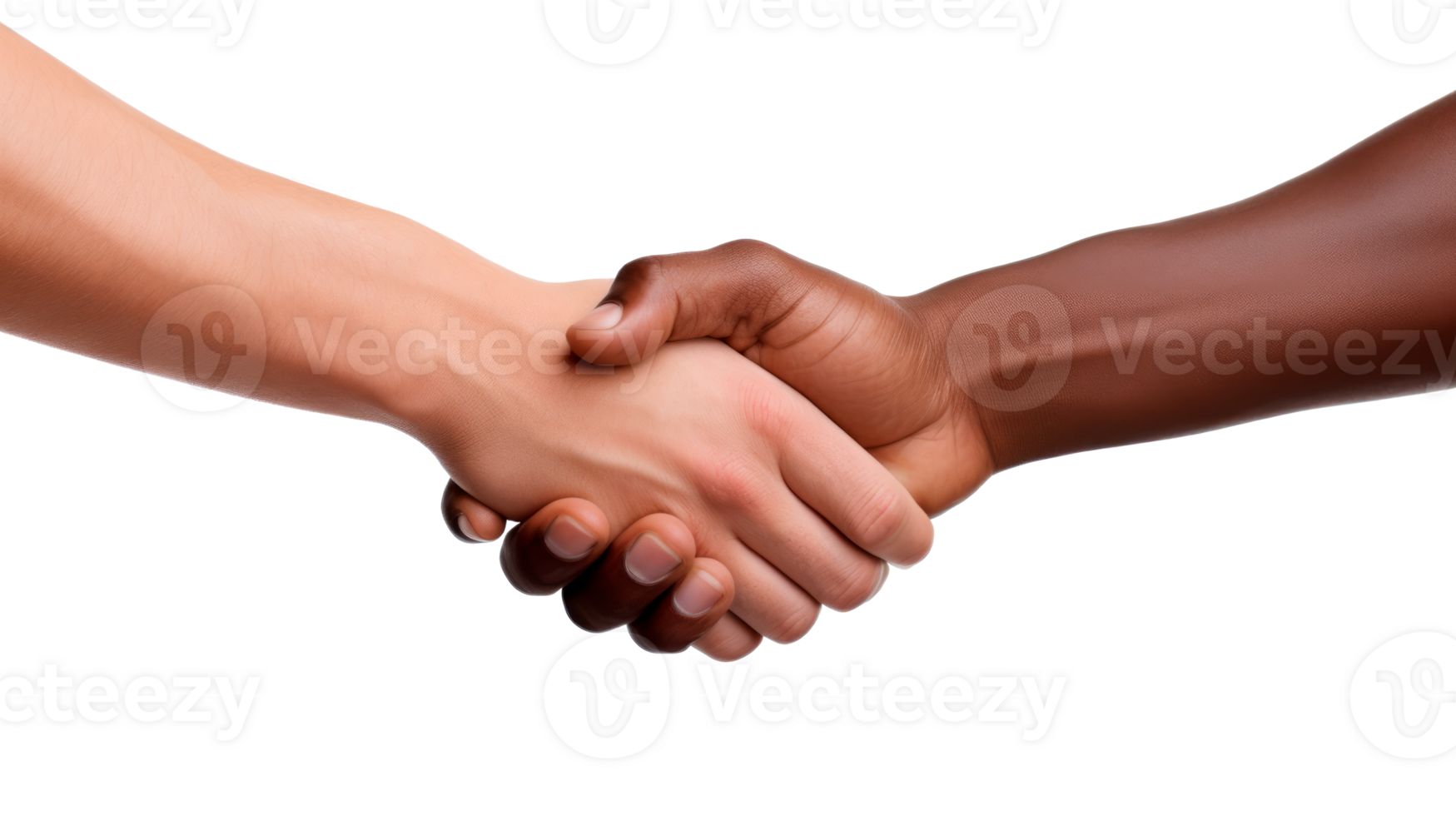 Hands of different skin tones shaking in a gesture of unity and respect. png