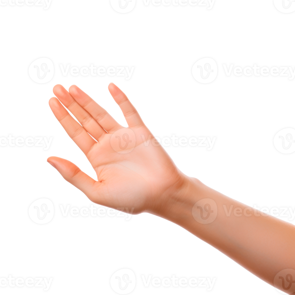 A close-up of an open hand gesture against a transparent background png
