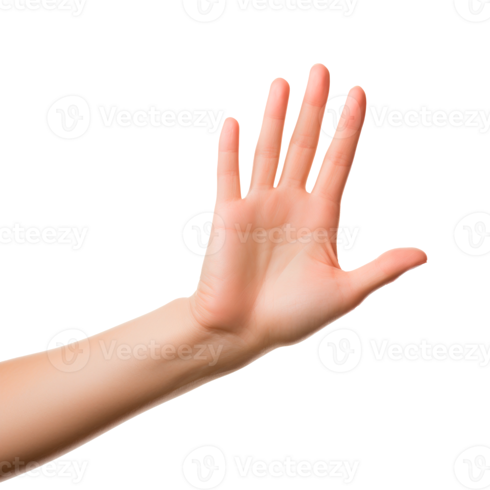 A close-up of an open hand gesture on a transparent background png