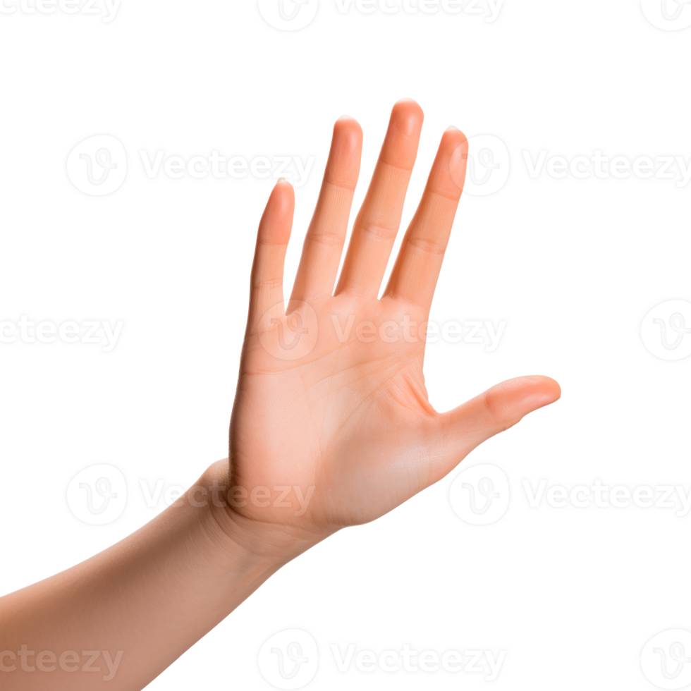 Open hand gesture against a transparent background for various uses png