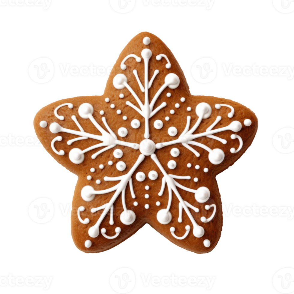 Decorative star shaped gingerbread cookie with white icing snowflake design png